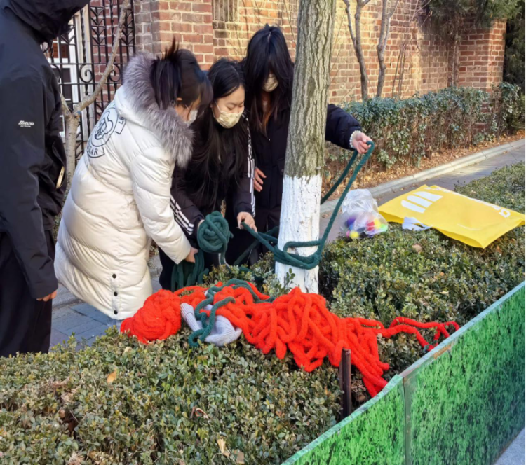 一线一绒织绿意，一树一景焕南山