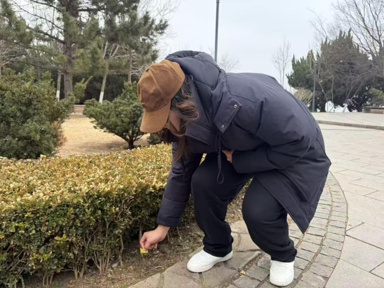 今天，我们以行动追随雷锋精神